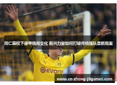 拜仁霸权下德甲格局变化 新兴力量如何打破传统强队垄断局面